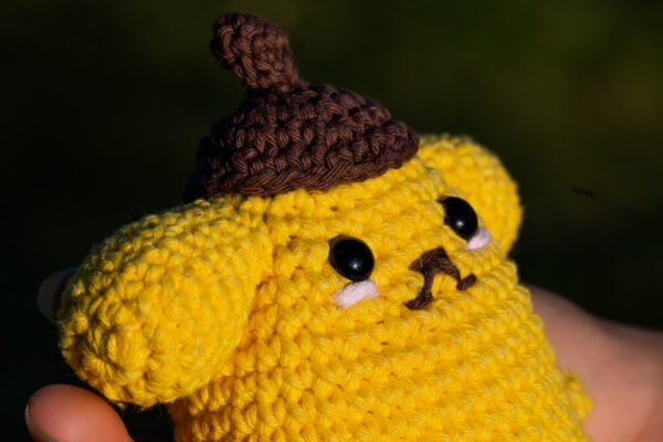 PomPomPurin